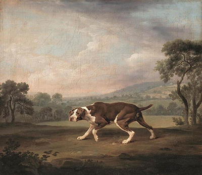 Spanish Pointer George Stubbs